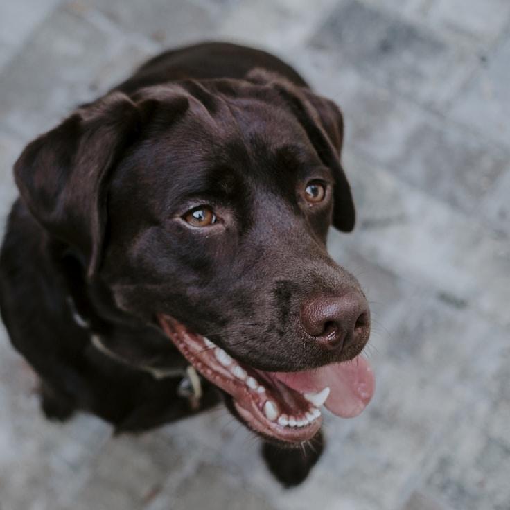 Diego Chen, Client Relations Director, discussing corporate gifting strategy with business clients